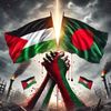 rifat.rahman991