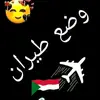yasseraltayeb0