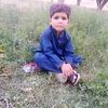 ashraf.ganeea