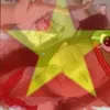 _goitolaminna_