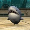 raraimup_01