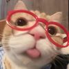 kittys1eepy1