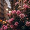 mariam.osama3985