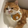 cuteandfunnycats8