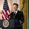 elon.reeves354