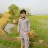 bilwal844