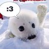 lol._renko