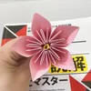 ajisai.247