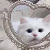btkm_.u
