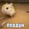 myralol