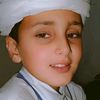 hafizshafatdhillon