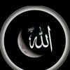 user75081345586818