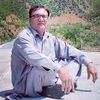 shamsher.ali774