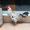 phucthichgada9999