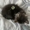 minhchaau._cutii