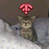 poxyust_17