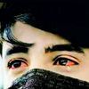 user47021161838184