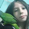 nicolcarballa