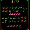 adil22933