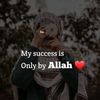 user94720721818180