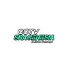 cctv.sragenesia
