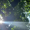 taphoa_riview