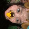 faqzzzzzzz