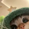 yenn272