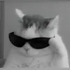 haibedz999