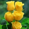 user40613201965613