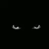 insomnia20901