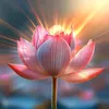 🪷Tự Tâm 🪷🕊️