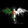 user31520638061855