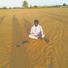 youdon.ali