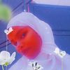 samira.jamal5