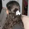 gabyrodriguesj
