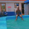 set.donkor