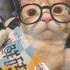 keno171819