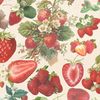 x.berry_strawberry.x