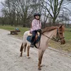 nina.paard