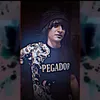 ay_ro16