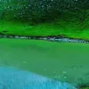 www.tiktok.afghanistanne