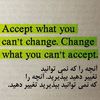 amin.amami2