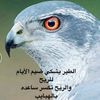 user5512763509949