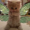lera__567