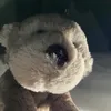 bearandjear_bestduo