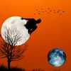 luul.mohamed93