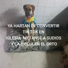 chuky6590775470