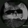 kareem.h3lmy3