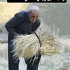 user7529805399851